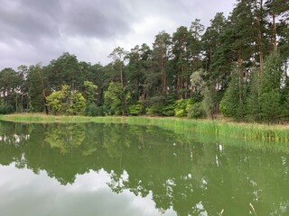 Perfect morning for fishing