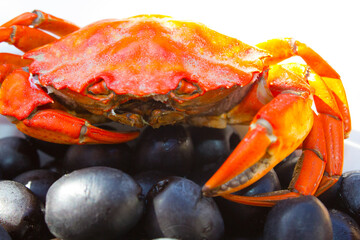 red crab with black olives on the plate