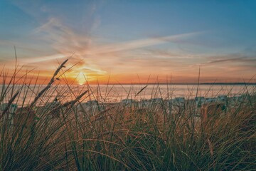 Sonnenaufgang hinterm Schilf