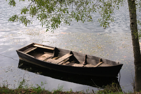 Barco a remo de madeira velho parado num lago, esquecido envelhecido sem pessoas por entre os ramos de uma árvore
