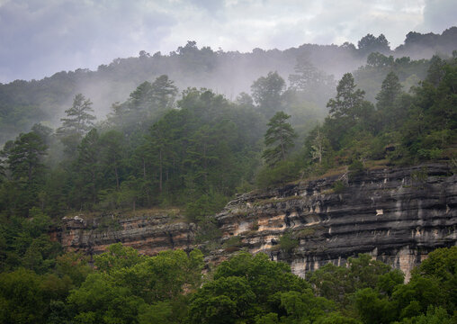 Forest and cliff on Ozark mountainside while it is foggy