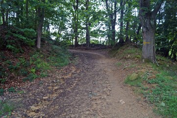 Trilha do Caminho de Santiago (rota do norte) - Irun / Espanha