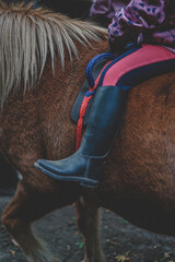 Reiten mit Kind im Herbst