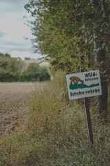 Reiten mit Kind im Herbst