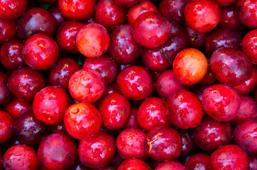 Red juicy cherry plum berries close up