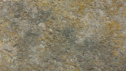 cement stone wall background surface backdrop