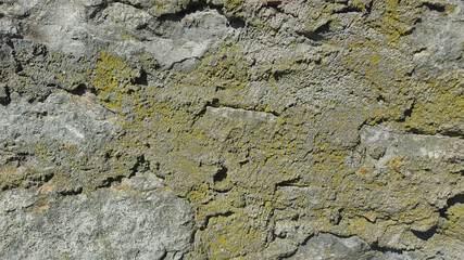 cement stone wall background surface backdrop