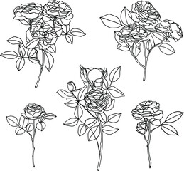 set of black and white roses