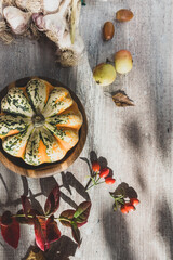 Obraz na płótnie Canvas autumn decor from pumpkins, red berries foliage garlic