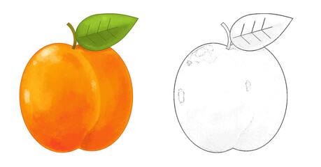 cartoon peach on white background - illustration
