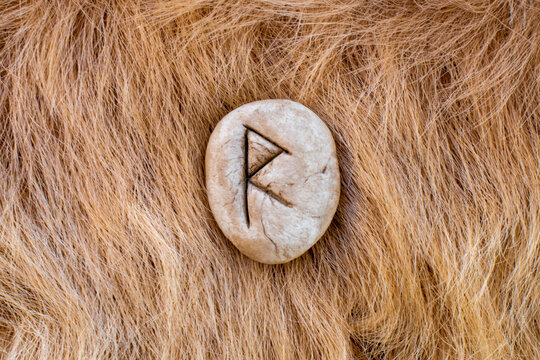 Raido or Raidho Nordic stone rune on animal fur. Letter Raed of the Viking alphabet.
