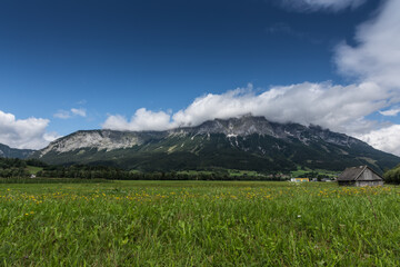 green flower meadow and a mountain with blue sky