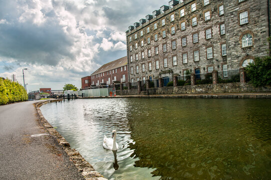 Royal Canal Way