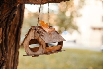 Wooden birdhouse on a tree close-up on the background of the autumn forest, a beautiful view of a three-quarter birdhouse in the autumn Park, a cozy bird house with Golden leaves in the background.