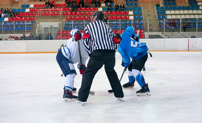 players during a hockey match