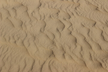 Blurry image of sand pattern. Abstract nature background, beige colors.