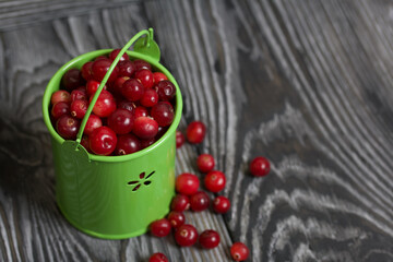Red cranberries in a miniature green bucket. Stands on brushed boards. Some berries are scattered nearby.