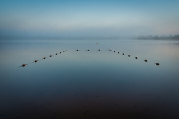 fog on the lake