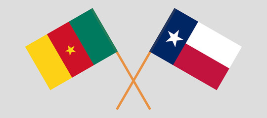 Crossed flags of the State of Texas and Cameroon