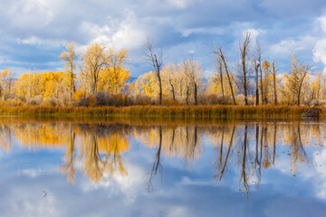 Autumn scene of a pond with colorful trees and clouds reflected in water in the Flathead Valley, Montana