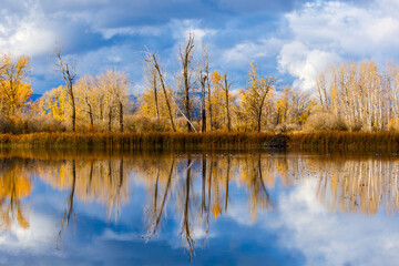 Autumn scene of a pond with colorful trees and clouds reflected in water in the Flathead Valley,...