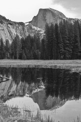 Half Dome With Reflection in Ahwahnee Meadow, osemite National Park,California,USA