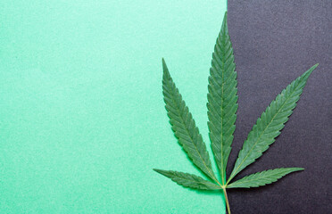 cannabis top view on paper background with copy space