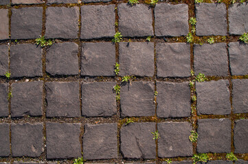 paving texture