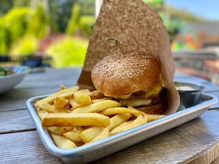 hamburger and fries on food tray