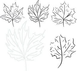 black outline of autumn leaves sketch icons pattern set