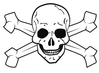 bones and skull on a white background