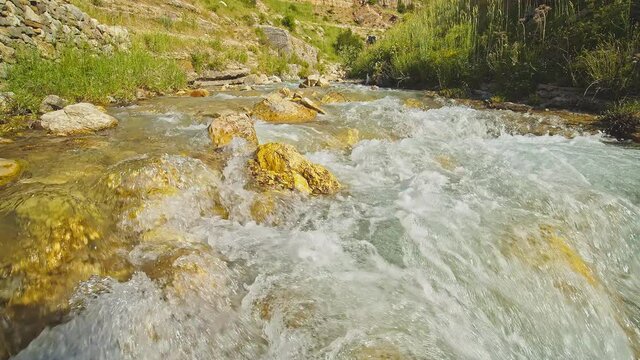 Water Fowing in the Forest