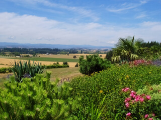 the Willamette Valley, Oregon in summer