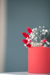 Ceramic coral mug with dry soft autumn red and white flowers , Lagurus Ovatus grass or bunny tail grass and Gypsophila against wall with shadow.