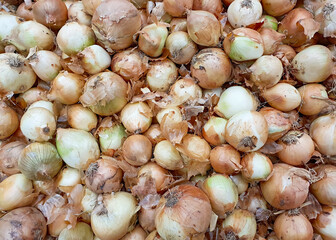 lot of yellow golden onions