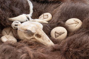 Stone runes and bird skull on a animal fur. Futhark viking alphabet. Close up photo of Norse runes.