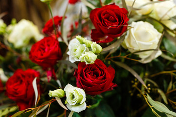 Red and white roses, bouquet on a white background with space for text