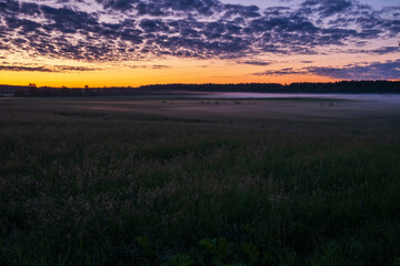 Orange sunset in the background of the forest.