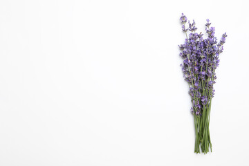 Beautiful lavender flowers on white background, top view. Space for text