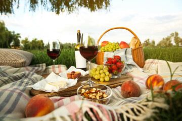 Picnic blanket with delicious food and wine on green grass