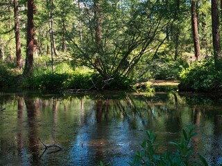 The wonderful lake of Pellaud (1810 m.). In the Aosta Valley,
Alps, Italy.Rhemes-notre-dame AO