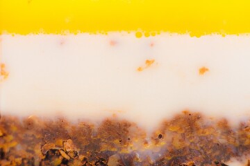 pie close up © Pawe