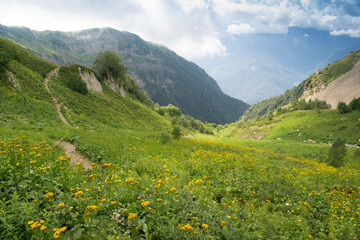 Fototapeta na wymiar Beautiful sunny alpine meadows and mountains, landscape