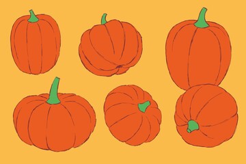 Collection of pumpkins of different shapes, hand-drawn.