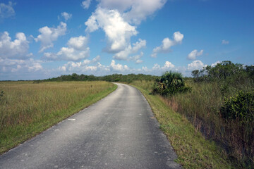 Fototapeta na wymiar Bike Path Through Florida Wetlands