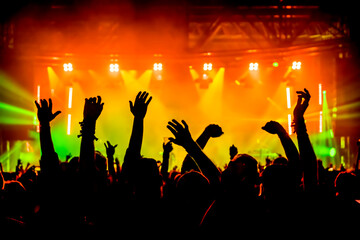 crowd of people dancing in the concert