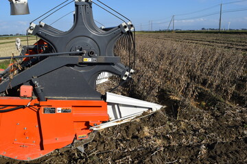 農業機械による大豆の収穫