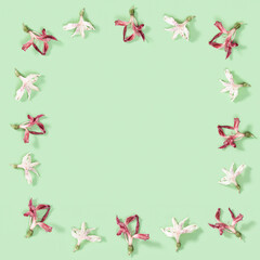 Floral decorative frame from dry red and white flowers on soft green. Close up herbarium. Natural flowery background