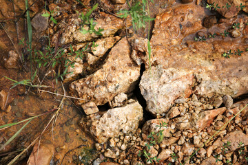 Wet ground, yellow soil, there are many small stones, details of the texture