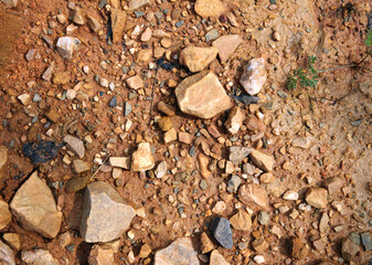 Wet ground, yellow soil, there are many small stones, details of the texture